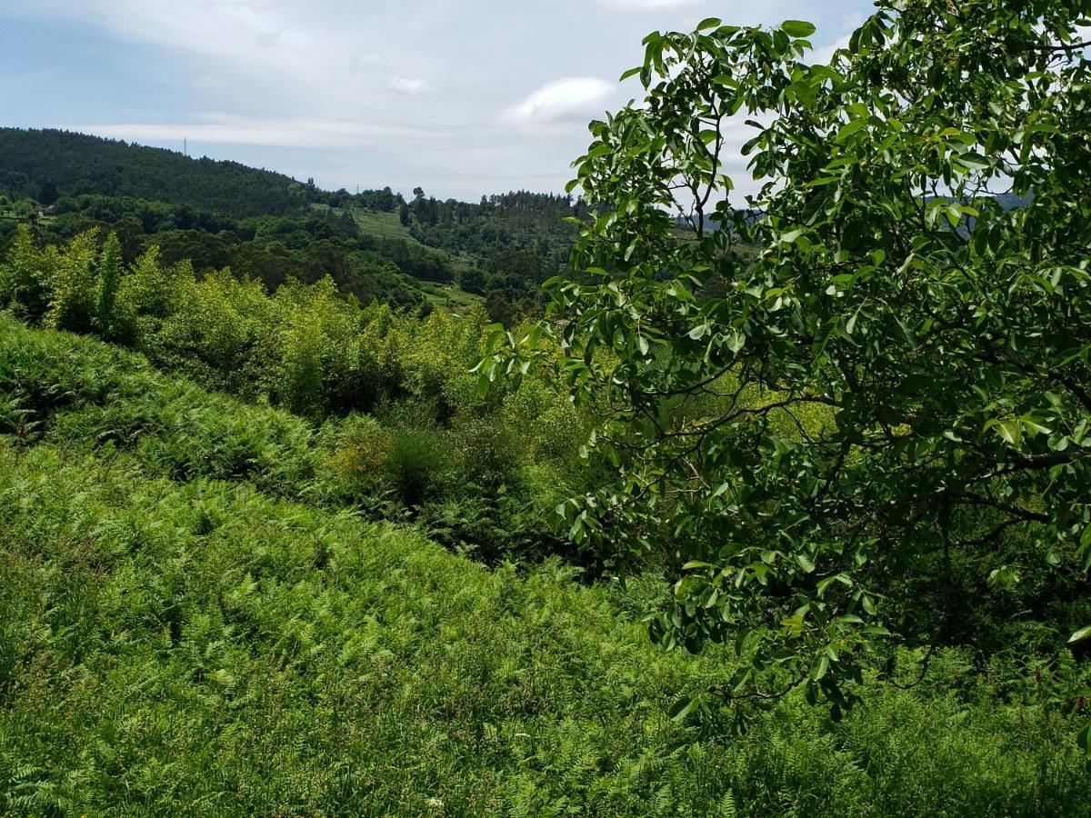 منزل الضيف بونتيفيذرا  في Casa Rural Do Fontan المظهر الخارجي الصورة